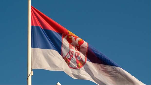 Песков: Россия в контакте с Сербией разберется в истории с экспортом боеприпасов
