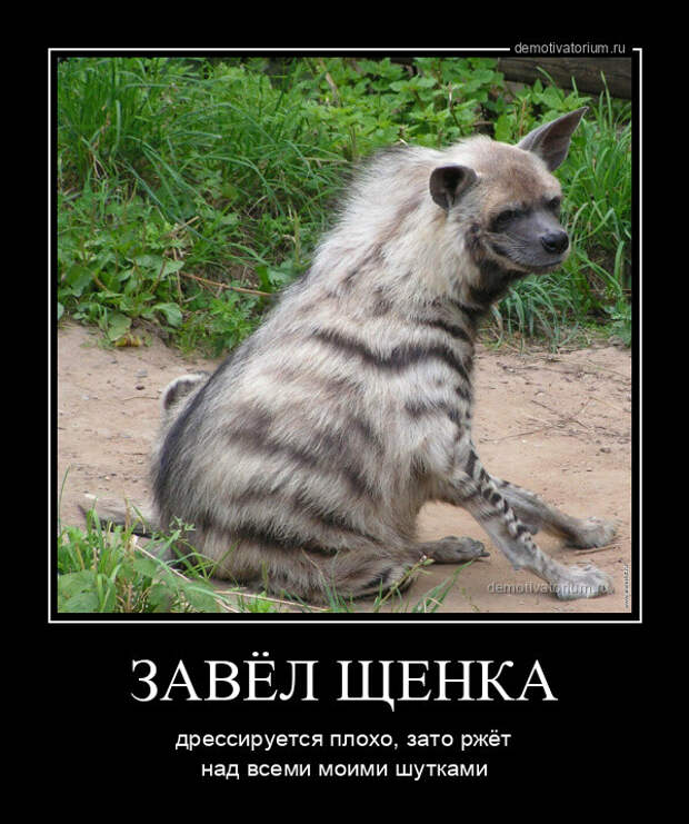 Демотиваторы для настроения (15 фото)