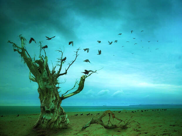 frank_melech_artworks