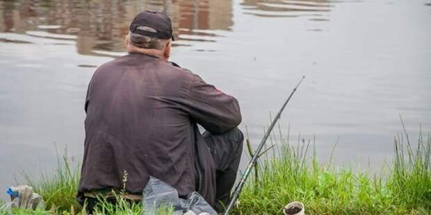 Забудьте про дорогие БАДы: этот дешёвый продукт спасает сердце и мозг после 60