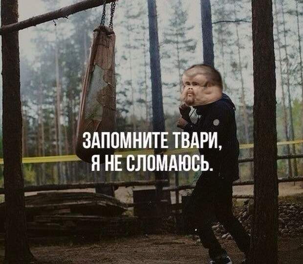 Прикольные картинки. Дневной выпуск (53 фото)