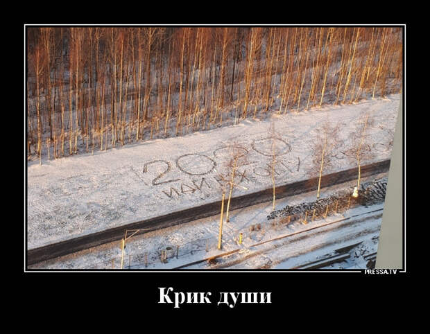 Демотиваторы