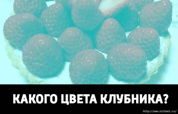3925073_illusia_001_klubnika (700x450, 112Kb)