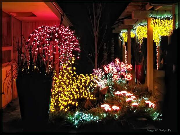 Garden d'Lights 2008 - 069