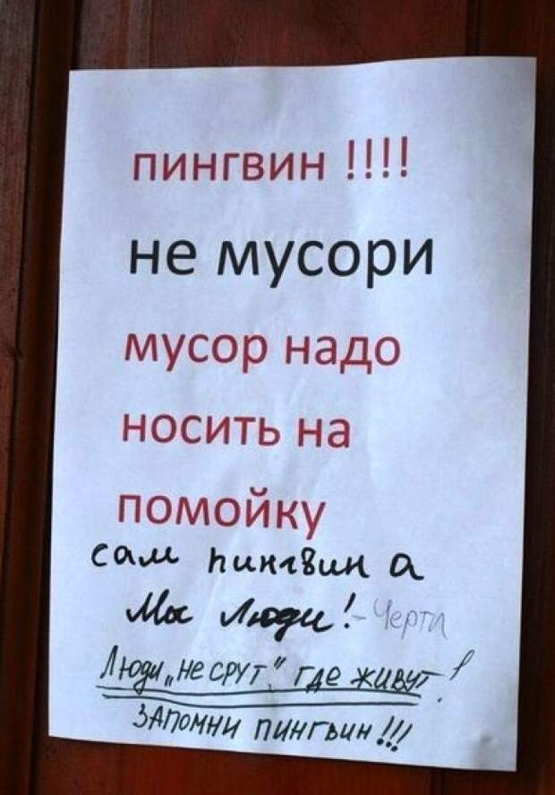 Забавные надписи в подъездах. Злые и добрые