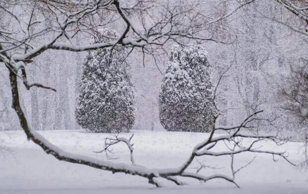 В Петербурге объявлен "жёлтый" уровень опасности из-за аномальных морозов
