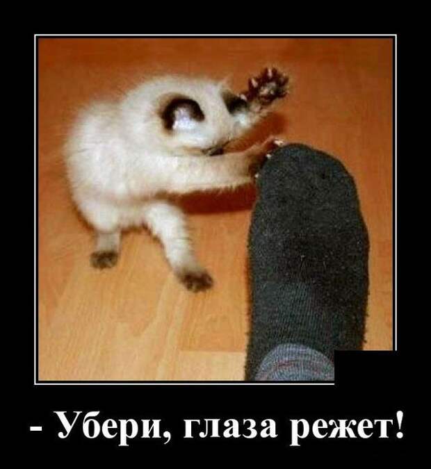 demotivatory-demotivator-smeshnye-demotivatory-demotivator-so-smyslom