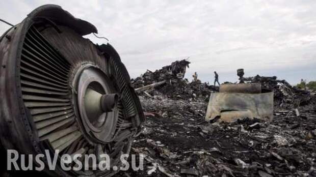 Нидерланды намеренно скрыли украинскую вину в катастрофе «Боинга» MH17 (ВИДЕО) | Русская весна