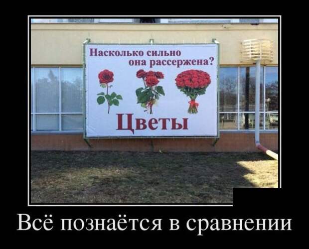 Демотиваторы (30 фото)