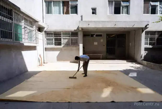 «Это уже не смешно»: россиян предупредили о штрафе за выбивание ковра во дворе