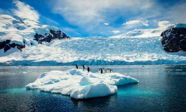 Почему Антарктида не принадлежит никакому государству?