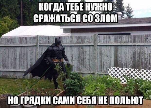 Позитивный пост+142 Позитивный пост+142