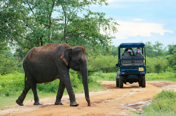 Власти Шри-Ланки ужесточили условия въезда для туристов