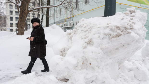 Эксперт назвала категории граждан, которые могут досрочно выйти на пенсию
