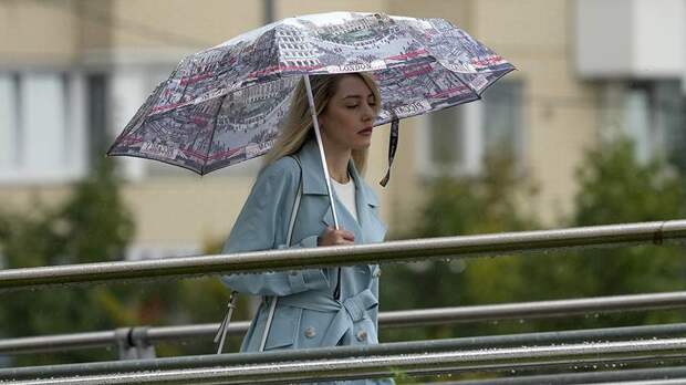 Синоптики спрогнозировали дождь и грозу в Москве 21 мая