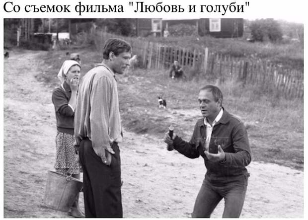 Веселые картинки с надписями со смыслом (10 фото) Веселые картинки с надписями со смыслом (10 фото)