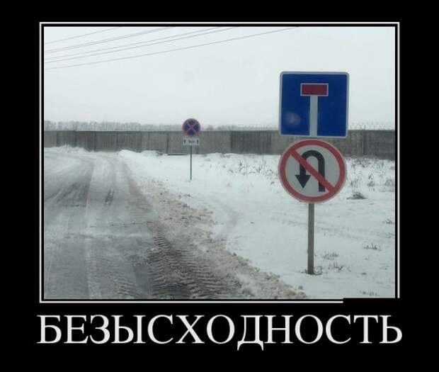 Позитивные и смешные демотиваторы для хорошего настроения (11 фото)