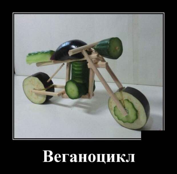 Демотиваторы (30 фото)