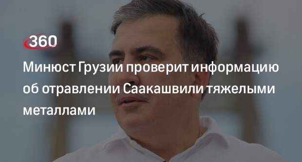 Глава Минюста Грузии Брегадзе: подозрение в отравлении Саакашвили проверит экспертиза