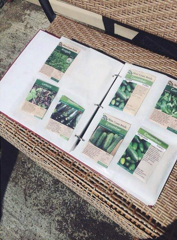 Упаковки семян в фотоальбоме.
