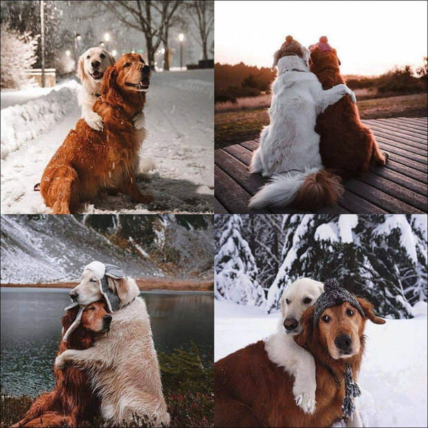 16861667_original (700x700, 566Kb)