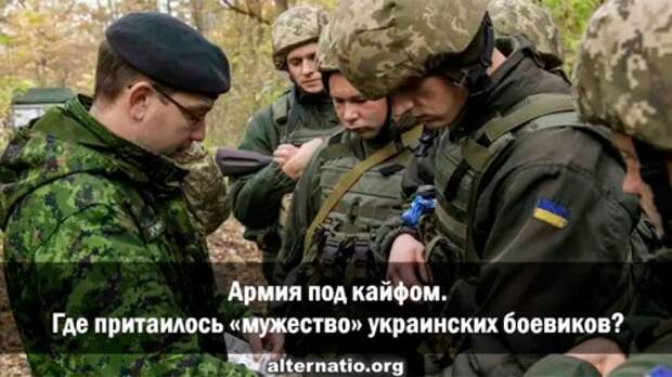 Армия под кайфом. Где притаилось «мужество» украинских боевиков?