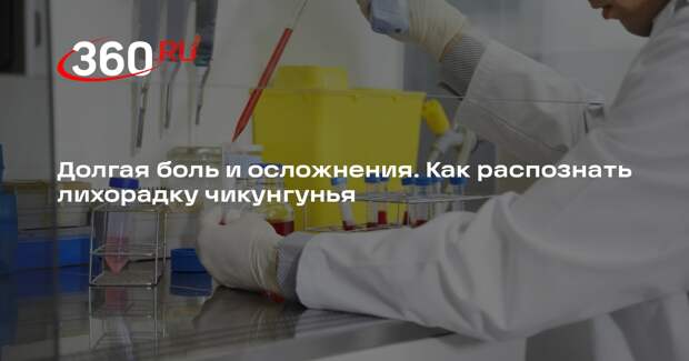 Профессор Чумаков: для России лихорадка чикунгунья не представляет угрозы
