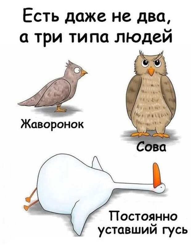 картинкопост