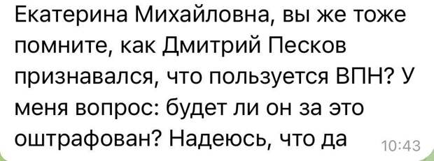 Скриншот https://t.me/ekaterina_mizulina