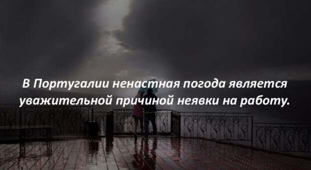 Интересные факты