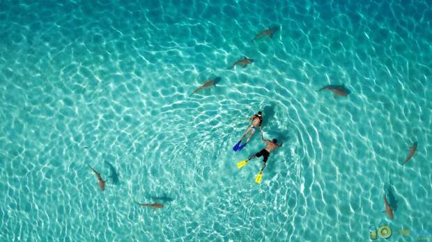 10 лучших фотографий с конкурса NatGeo DronStar