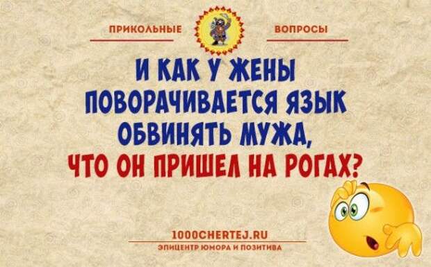 1575660179_original.jpg