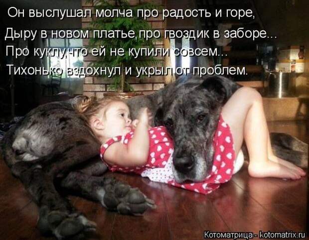 Кошатина да псятинка позитивная, этакая забавная, с надписями, очень много на выходные
