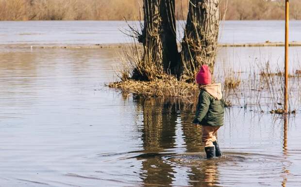 Добавит Оке сразу метр: в Рязанской области вероятна вторая волна половодья