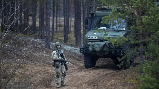 Пограничники Литвы сообщили о задержании 64 мигрантов на границе с Белоруссией