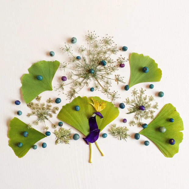 peacock_large (480x480, 181Kb)