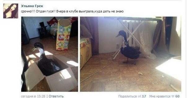 Щедрость зашкаливает: всё о халяве Щедрость зашкаливает: всё о халяве