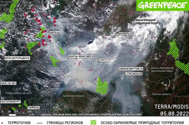 Гринпис считает, что площадь лесных пожаров в ХМАО может быть в три раза больше, чем заявляют власти