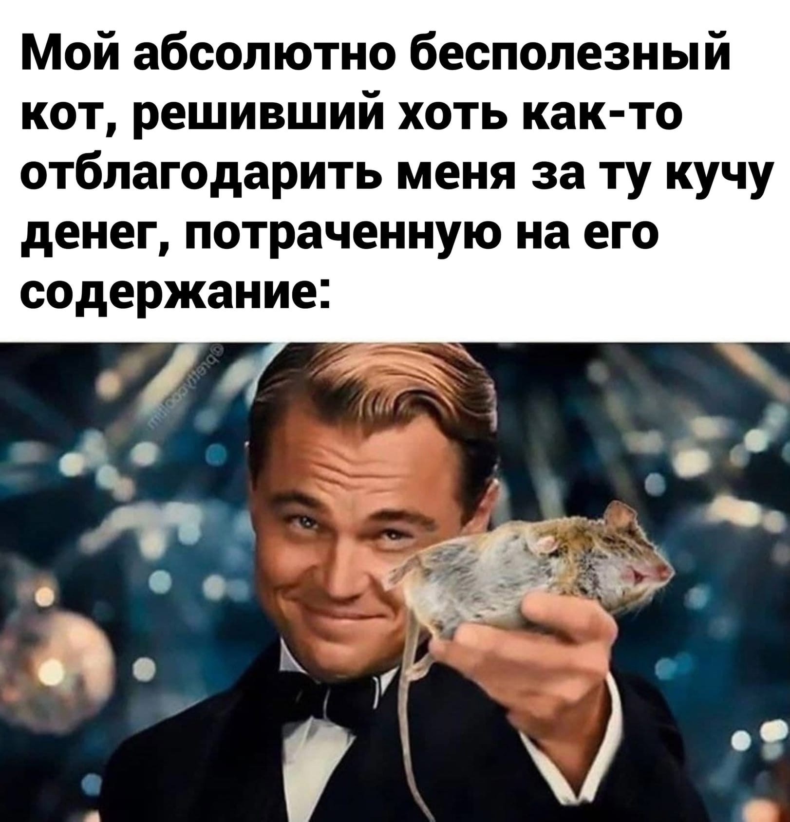 Юмор из интернета 648
