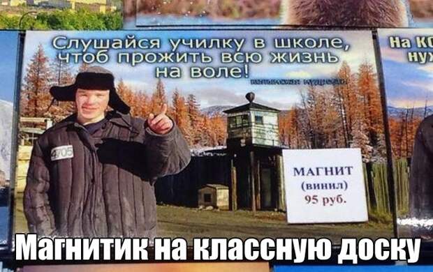 Прикольные картинки