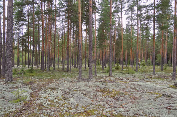 004_Ustyuzhna_022