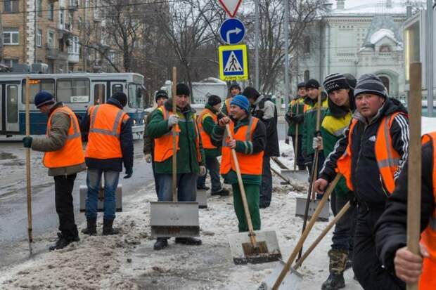 Мигранты и наркотики. В России и по соседству