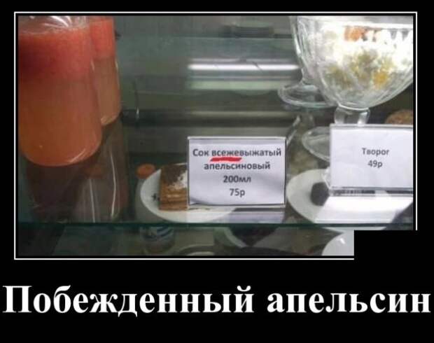 Демотиваторы