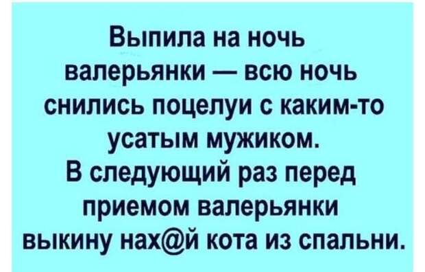 Две брюнетки с Рублевки: — Чтобы похудеть, доктор прописал мне ежедневно верховую прогулку...