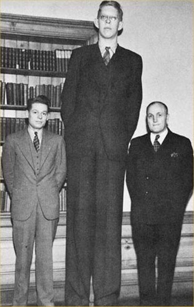 Высокие люди старые фото