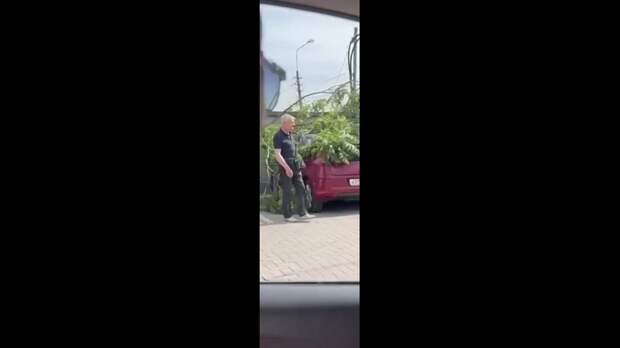 Video: com.bongasoft.addremovewatermark_IMG_3841.MP4