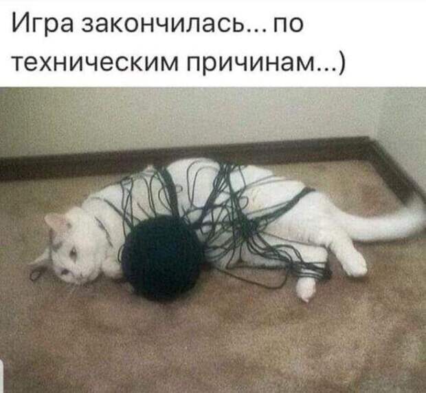 Клевые свежие картинки с надписями (четверг)