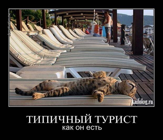 Демотиваторы - 151 (70 фото)