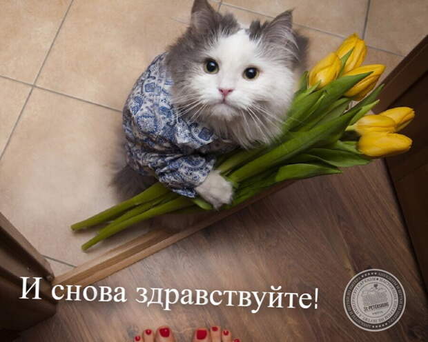 8 марта
