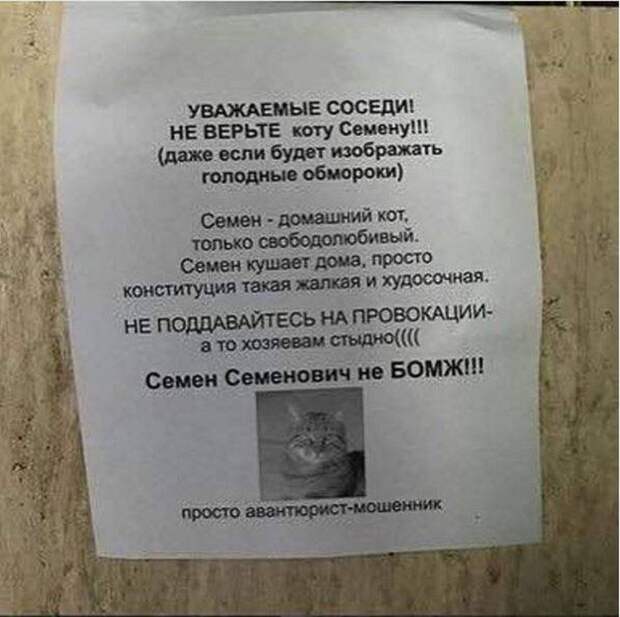 Попробуй не отреагируй на такие-то объявления